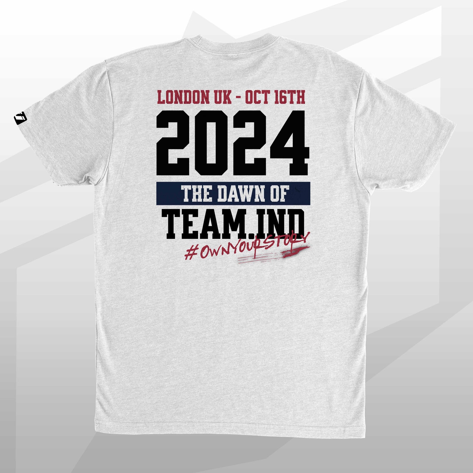 team industry mens tee shirt fitness bodybuilding